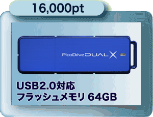 16,000pt USB 2.0対応　フラッシュメモリー64GB